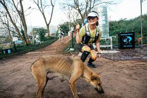 BIB: 
                            <button type="button" onclick="openModal(25457911)" class="btn btn-primary btn-sm float-right btn-popup" data-toggle="modal" data-target=".modal-high-quality">
                        <i class="fas fa-shopping-cart"></i> Add to Cart
                    </button>
                                            <button type="button" onclick="isThisMe(25457911, true)" class="btn btn-success btn-sm float-right btn-popup btn-isme hidden" data-toggle="tooltip" data-placement="bottom" title="นี่คือรูปของคุณใช่ไหม คลิกที่นี่เพื่อเอาเข้าอัลบั้ม">
                        <i class="fas fa-plus"></i> Add to album
                    </button>
                    <button type="button" onclick="isThisMe(25457911, false)" class="btn btn-warning btn-sm float-right btn-popup btn-isnotme hidden">
                        <i class="fas fa-ban"></i> Remove from album
                    </button>